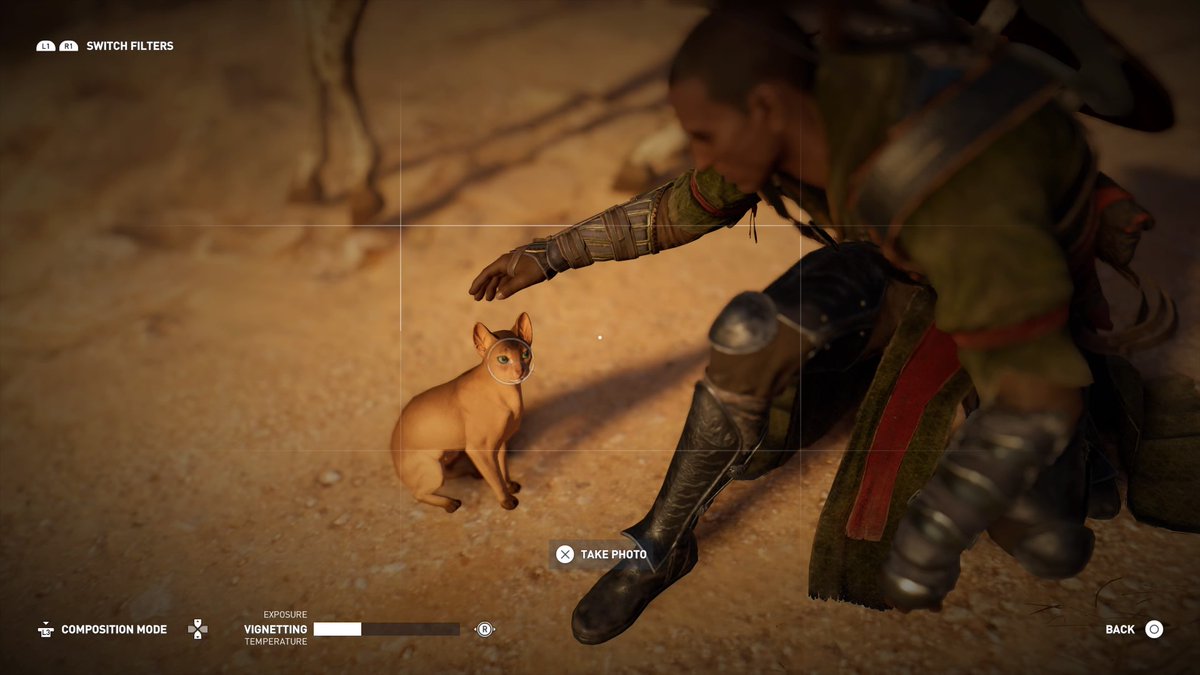 Dani_ILE's tweet photo. #Orgins got me with that cat love #AssassinsCreed #Ilikeeverykindofcatijustwanttohugthembuticantcanthugeverycat #Cat https://t.co/1HxX4MGYQp