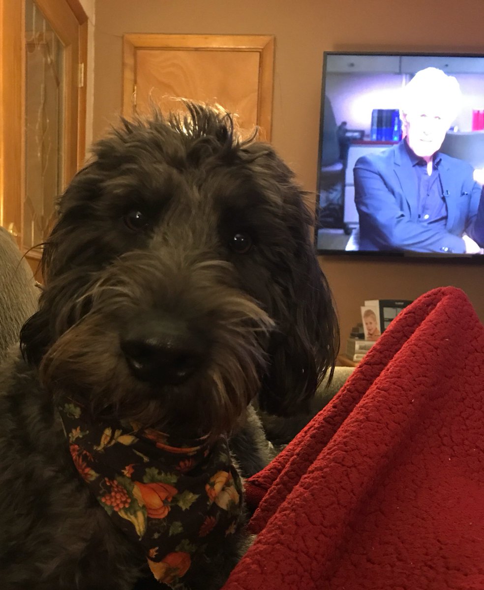JessMullen89's tweet photo. @dateline_keith My dog trying so hard to be a “thing” you lean on! Almost! https://t.co/xQhuQEWP0C