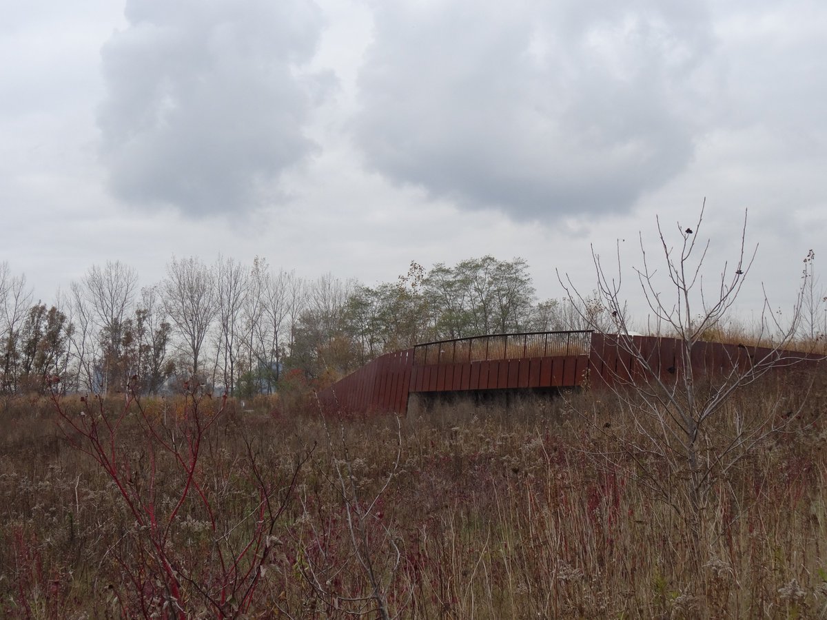 mressabhai's tweet photo. Nature is a calming place that everyone needs to experience, that's why we're acting as consultants to Tommy Thompson Park~ @TRCA_TTP
#NTFFTT #RotmanIThink #TommyThompsonPark #nature #calm https://t.co/yForhmwxVG