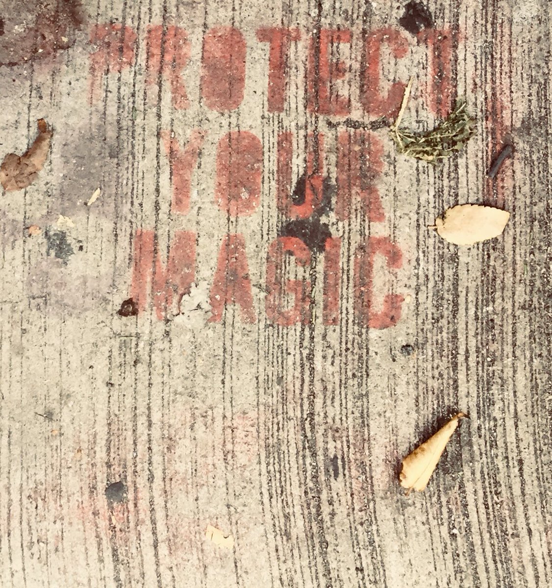 NycVarcolac's tweet photo. @SquirtVampyra find your magic, #protectyourmagic #nyc #streetart https://t.co/MZjH80ASLf