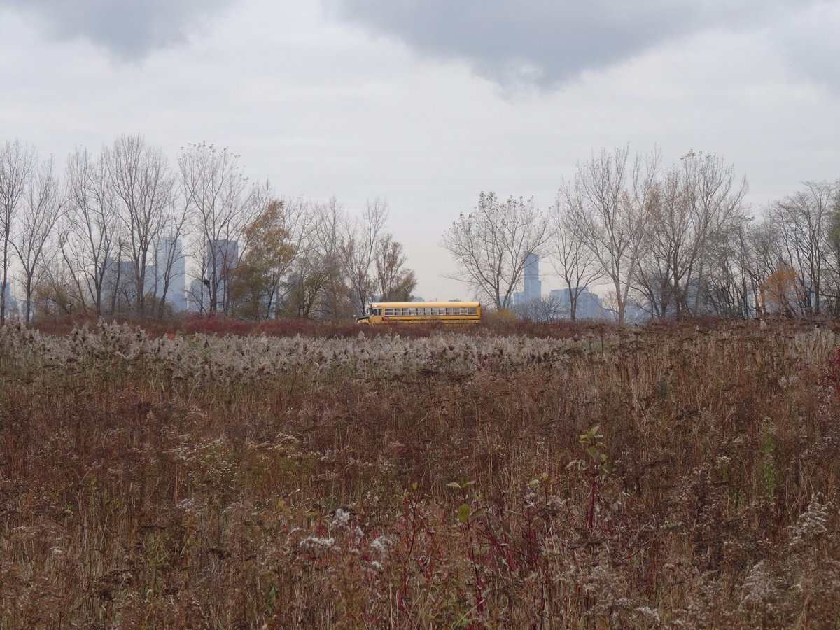 mressabhai's tweet photo. Nature is a calming place that everyone needs to experience, that's why we're acting as consultants to Tommy Thompson Park~ @TRCA_TTP
#NTFFTT #RotmanIThink #TommyThompsonPark #nature #calm https://t.co/yForhmwxVG