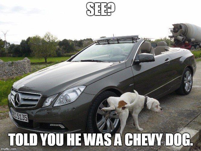 wolfechevrolet's tweet photo. Rex here knows what's up! ๐
Retweet if your dog's a Chevy Fan, too!
Someone get this good boy a treat, STAT!! ๐ถ
#ChevyFans #GoodDog https://t.co/IrmERkVOtT