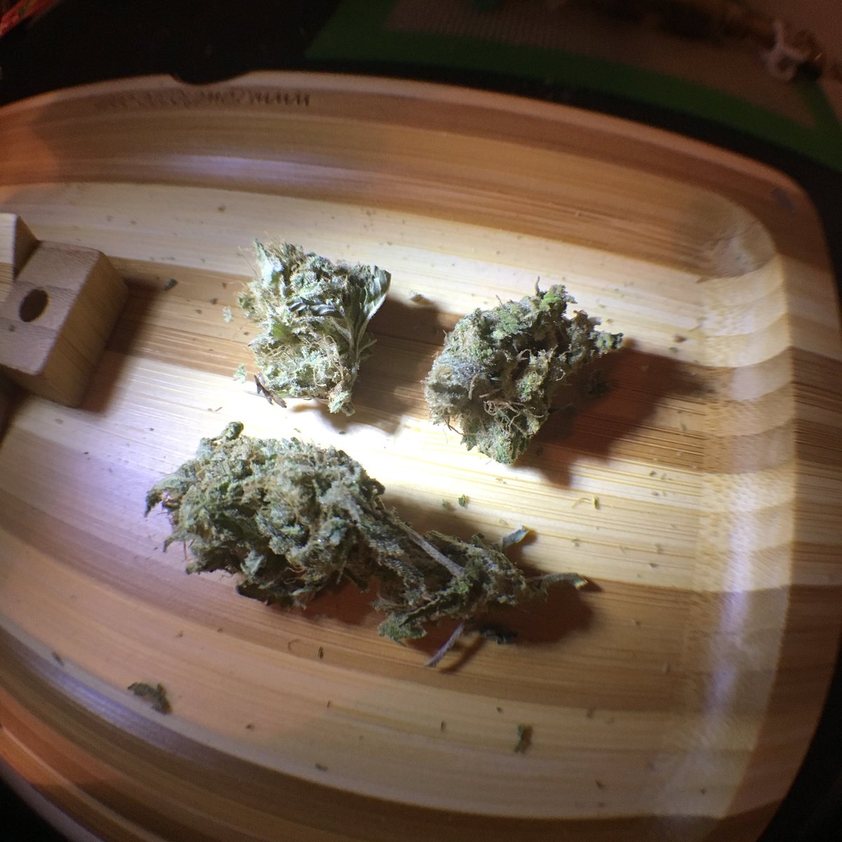 raleii's tweet photo. Reject revenge, embrace Love 🖤💫 #goodvibrations #love #highlife247 #smokemore #fightless https://t.co/KJsW8ZKlWL