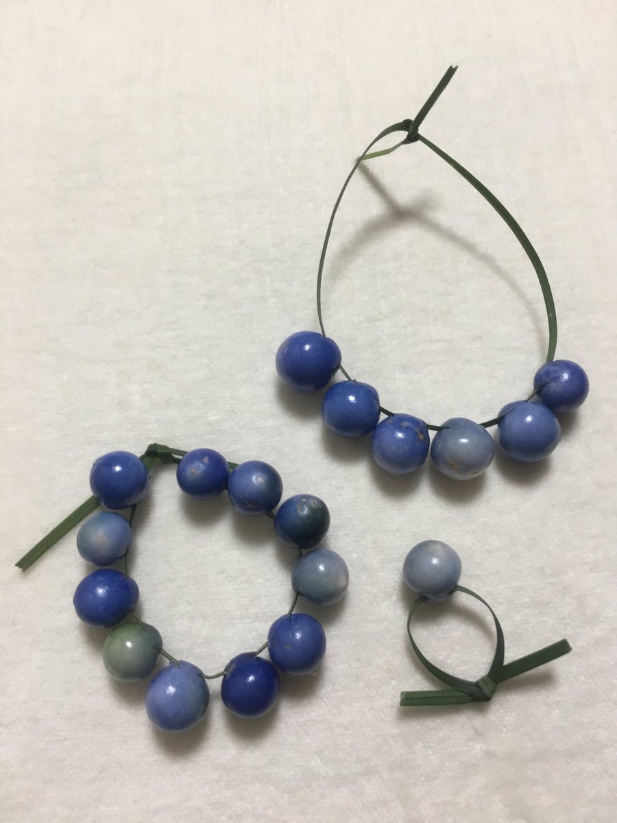 Inori リュウノヒゲ ジャノヒゲ の実で宝石遊びです 身の中には半透明の大きな よく弾む 種が入っていますが 風船で例えると空気を入れる所の反対側のゴムが厚くなっている所に当たる場所が果肉が厚くなっていました そこに爪で切れ目を入れて葉の