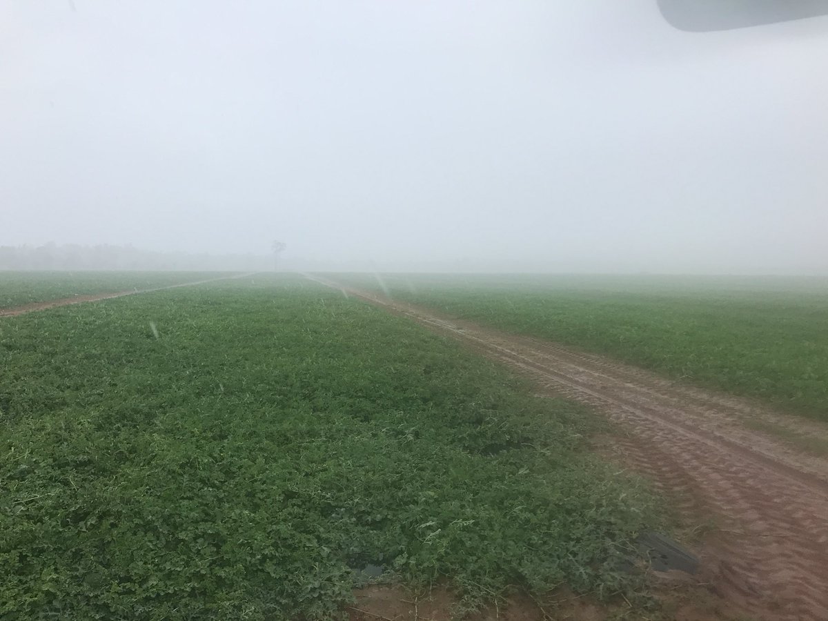 grow_dem_melons's tweet photo. Just finished spraying some Vivus #NextMinute https://t.co/SYNyRBhbDh