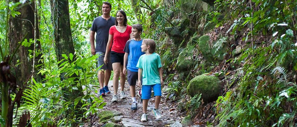 MVfarmstay's tweet photo. Morvern Valley Farm is right next to Morton National Park. At twilight walk down by torchlight to see Glow Worms. #sydneykids #essentialkids https://t.co/8sanTcFwaI