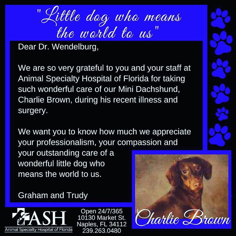 Ash Of Florida Ashofflorida Twitter