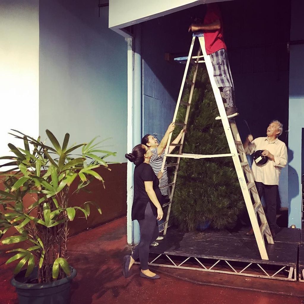 mapamaui's tweet photo. The #mapamaui #christmastree has arrived! Getting ready for our big tree lighting this Friday! Come by for food, entertainment and fun 6-8pm. https://t.co/ETJ3HvO3h8