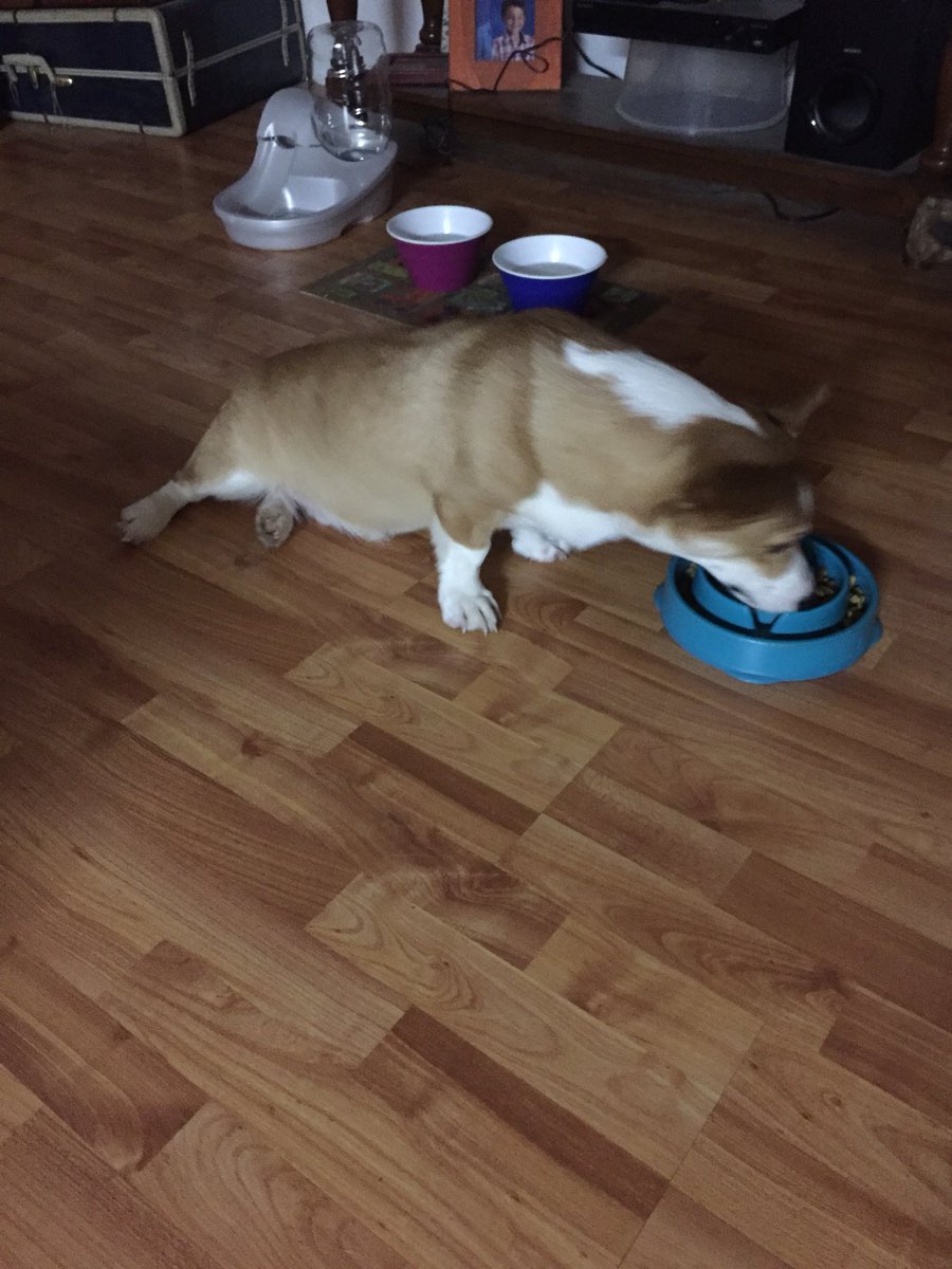 jsimsace's tweet image. When it’s all you can do to make it to dinner after a hard day....