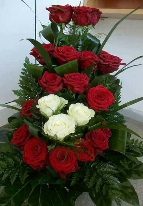hersanqui tweet picture