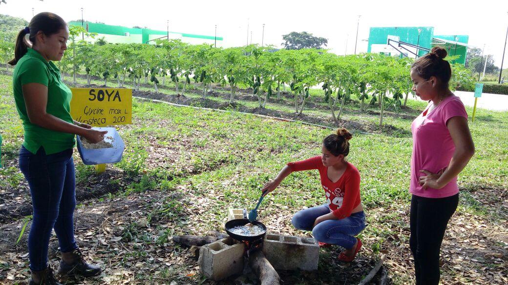 RecDrWalter's tweet photo. #UTECAN Presente; generación de valor agregado en la producción orgánica de Soya (Huasteca 200), a través de derivados como leche, chorizo, queso tipo tofu y carne de soya entre otros productos. https://t.co/kOWUWErZHp