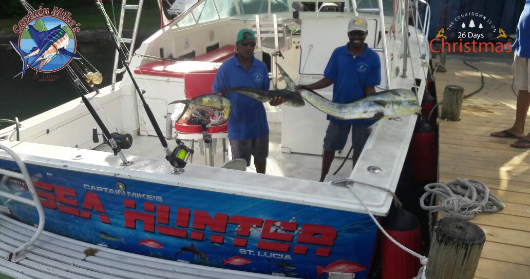 CaptainMikeslu's tweet photo. Join the #Mahi line! They all put up a good fight.Aalas, they were no match for #captmike 
Ready to #reel in your catch? Book Now!
https://t.co/L0zBuEgglt
#stlucia #bertramyachts #sealife #sailfish #yellowfin #reelsnrods #shimano #saltlife #family #fun #islandroutes #livefunner https://t.co/AQlHfZRSQj