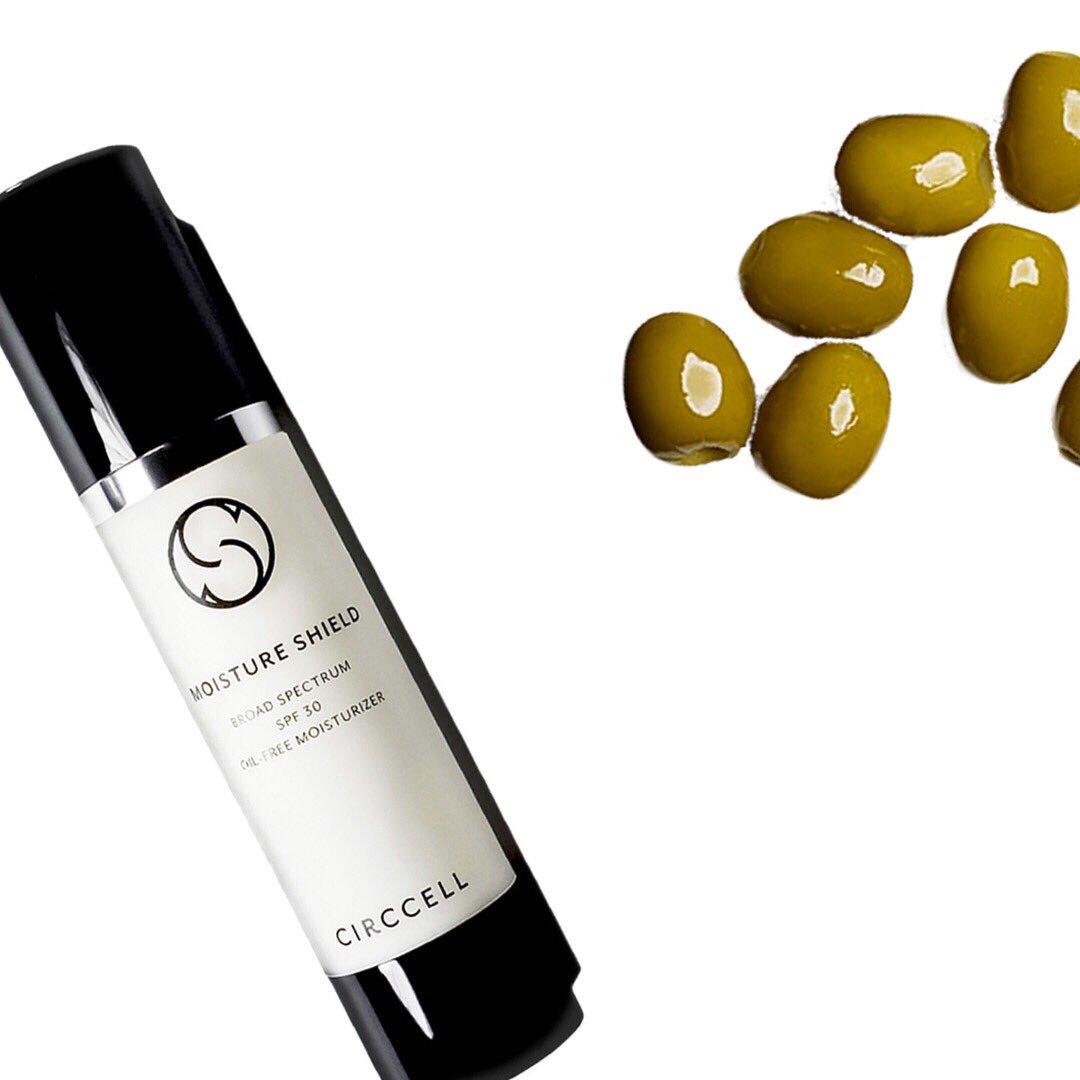 circcell's tweet image. #Squalene from #olives help maintain the skin's moisture mantle throughout the day in #MoistureShield. ✨