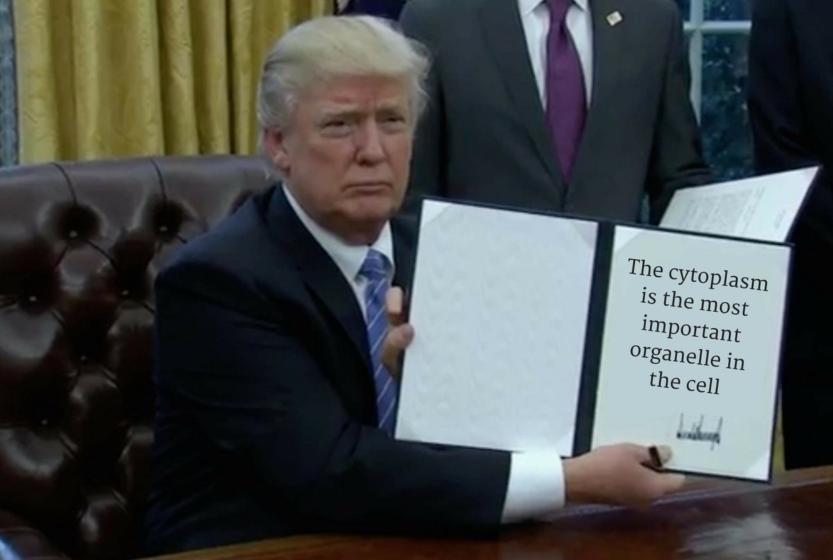 cytoplasmicman's tweet photo. It is because of me that all other organelles are able to perform their functions... If it wasn't already obvious:  #SPHSOrganelleVote2017 https://t.co/uvjc694qVo