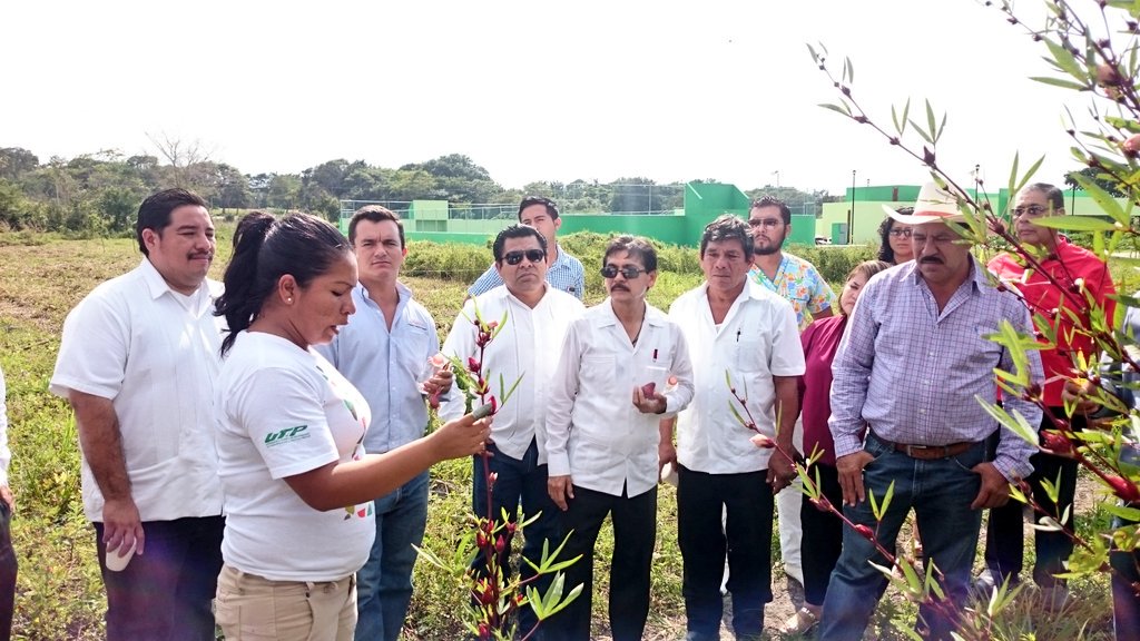 RecDrWalter's tweet photo. #UTECAN Presente; en el marco de la instauración del Consejo de Vinculación y Pertinencia, sus integrantes dieron un recorrido en las instalaciones de la Universidad Tecnológica de Candelaria. https://t.co/b6TROaOatE