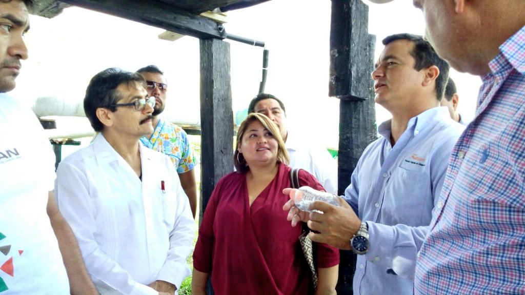 RecDrWalter's tweet photo. #UTECAN Presente; en el marco de la instauración del Consejo de Vinculación y Pertinencia, sus integrantes dieron un recorrido en las instalaciones de la Universidad Tecnológica de Candelaria. https://t.co/b6TROaOatE