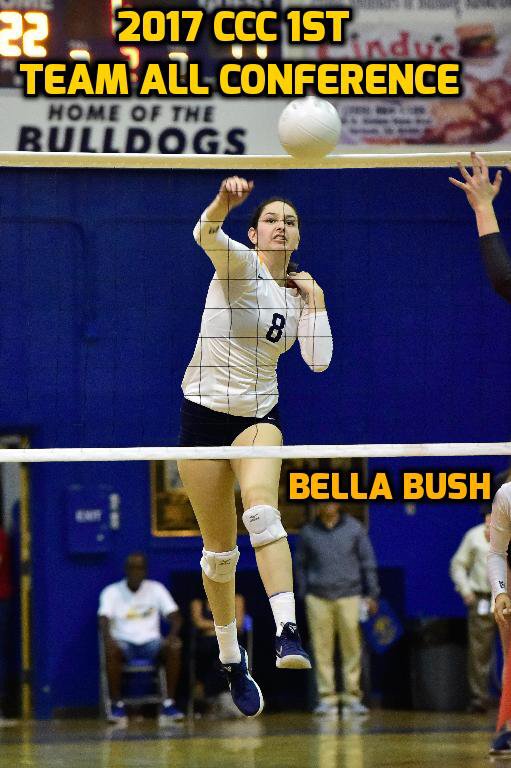 Turlock Volleyball tweet media