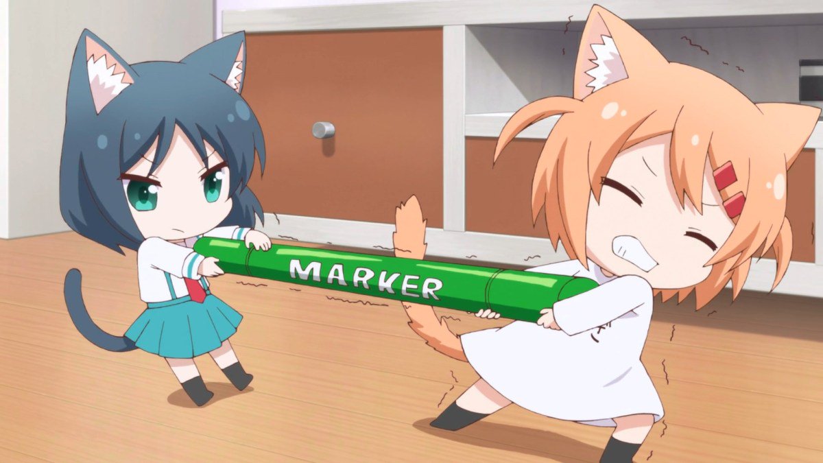 azmdjdnaksimova's tweet photo. この全力が好き🦊🐱 https://t.co/b1DkxeWffR