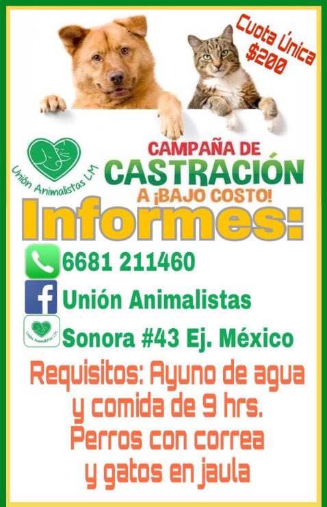 AdopcionesLM's tweet photo. Una mascota esterilIzada vive más sana, vive más!! 💚 Sábado 16 de diciembre campaña de esterilización para perros y gatos a bajo costo.  Informes al: 6681-211460 #LosMochis #NoMasAnimalesAbandonados #NoMasEnfermedades @animalistaslm https://t.co/8erZL6AFka