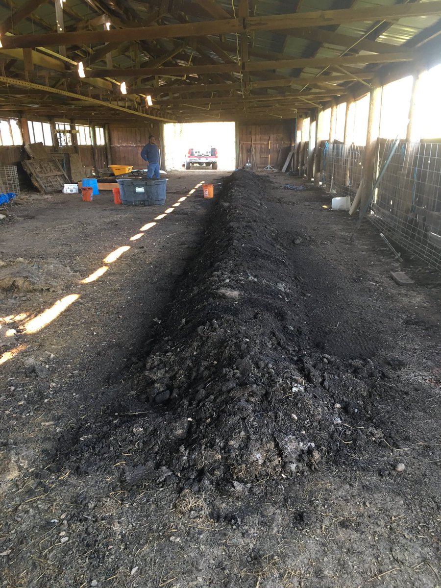 DeltaWorms's tweet photo. We started this rick in May.  Now we have to move it!! 125’ feet long about 200 lbs of #worms. #deltaworms #buildsoil https://t.co/tLYHG2L5r6