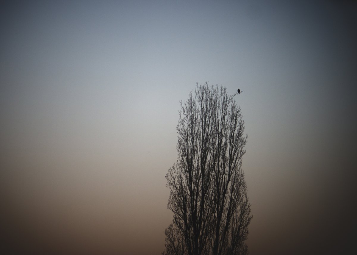 convex_photo's tweet image. Southbound 4 - Bris-Melb by road, September 2017 #australia #roadtrip #rural #landscape #outback #urban #travel