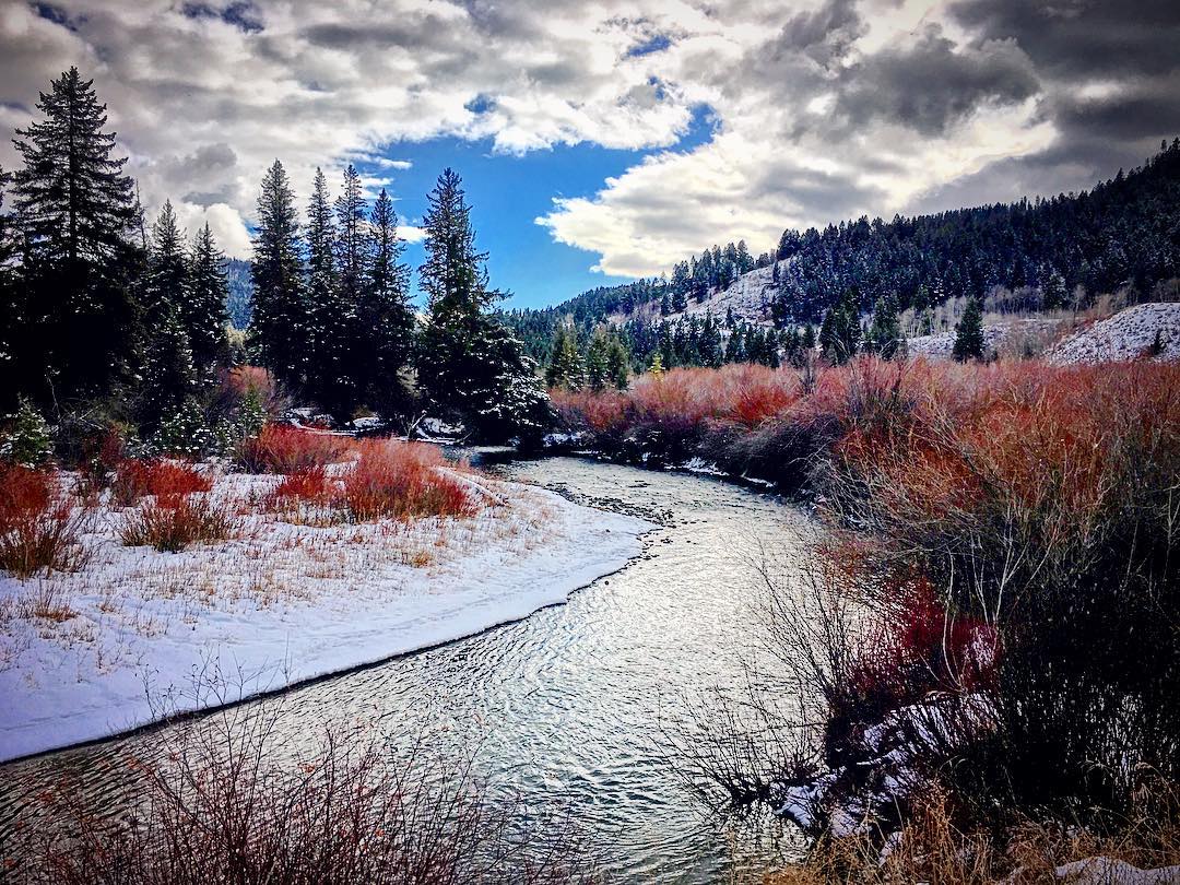 visitmontana's tweet photo. Red, white and bluetiful. #MontanaMoment | 📷: IG user ashtonannajackson https://t.co/6t0VICiRjh