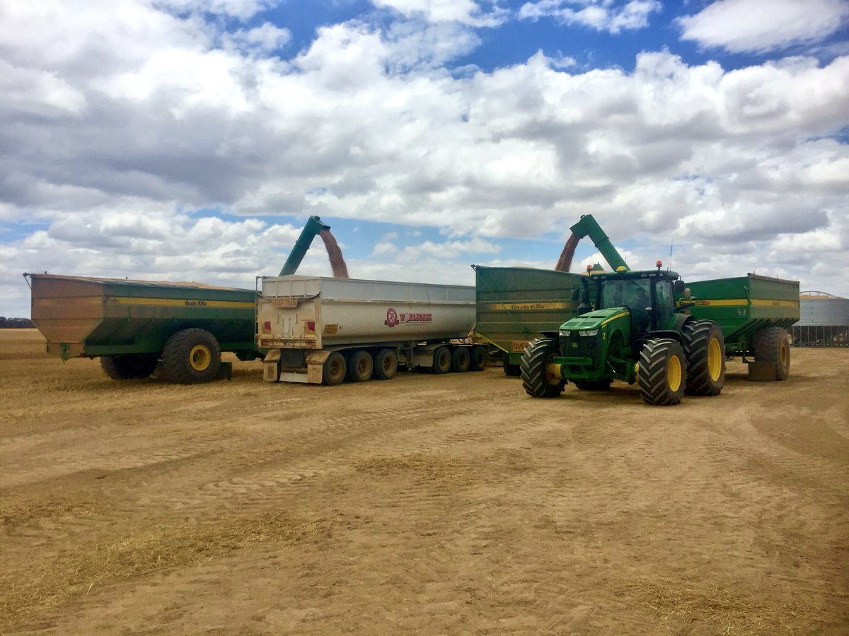 phil_honey's tweet photo. Just a couple of kings lined up for a quick truck refill ๐๐ #harvest17 #grainking #everythingisfull #aussieag #JohnDeere https://t.co/3ZmDtJvS8i