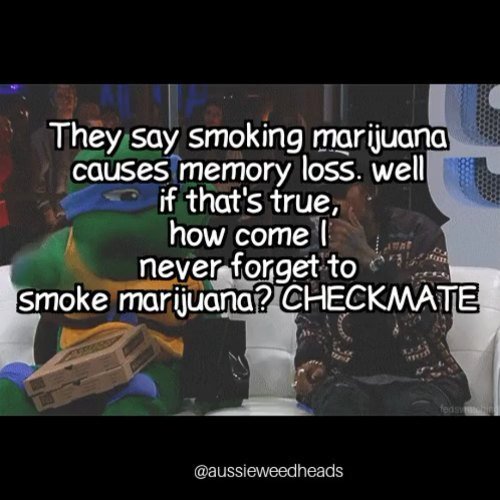 420problem's tweet photo. Check mate indeed 😎🌿
.
.
.
.
 #joint   #cannabis  #420   #weed  #marijuana  #weedhumor  #stoned  #jokes  #highlif... https://t.co/ybBPn2QOZL