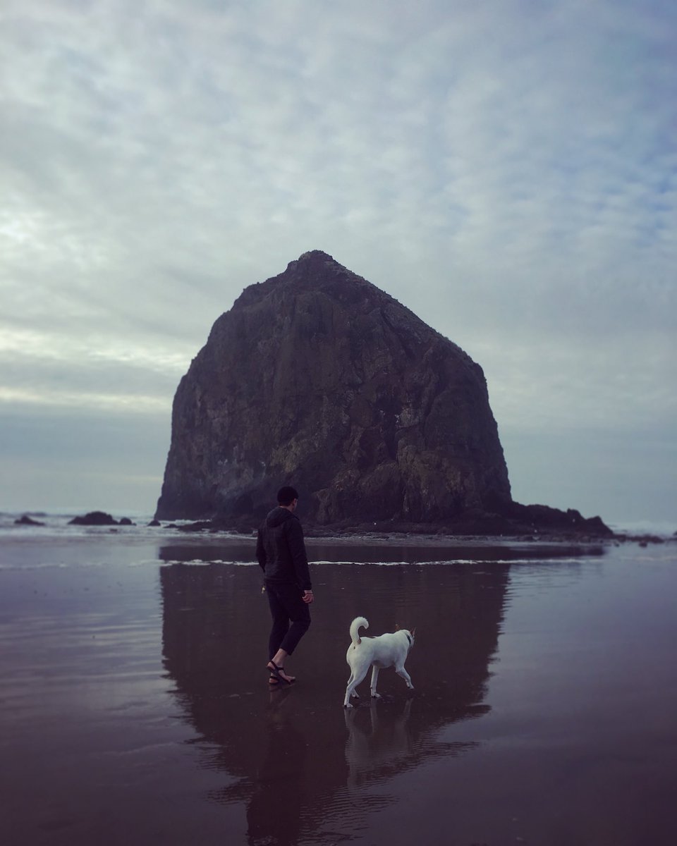 bisonandbigfoot's tweet photo. Ghosts day at #CannonBeach 
Traveling with our dog again, doesn’t get better than enjoying the scenery together!
•••
#haystackrock #oregon #oregoncoast #pacificnorthwest #pacific #pacificcoast #beach #dog #mutt #dogsofinstagram #dogdays #ghostthemutt #travel #roadtrip https://t.co/vuQgNpu5OZ