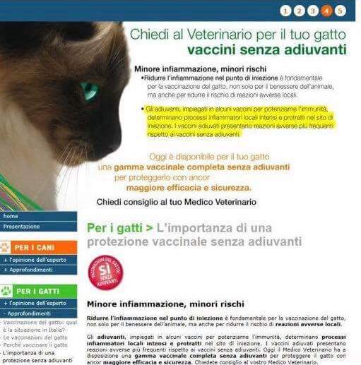 domgokusei's tweet photo. @LidaSezOlbia "#cuccioli arrivati a fine ottobre stanno crescendo.. grazie a chi ci aiuterà con cibo specifico #puppy , #vaccini &amp; #sverminanti "

#30novembre #scuola #adiuvanti 
#vaccino senza #adiuvante per i gatti 🤔 https://t.co/b1ZZosaq0g