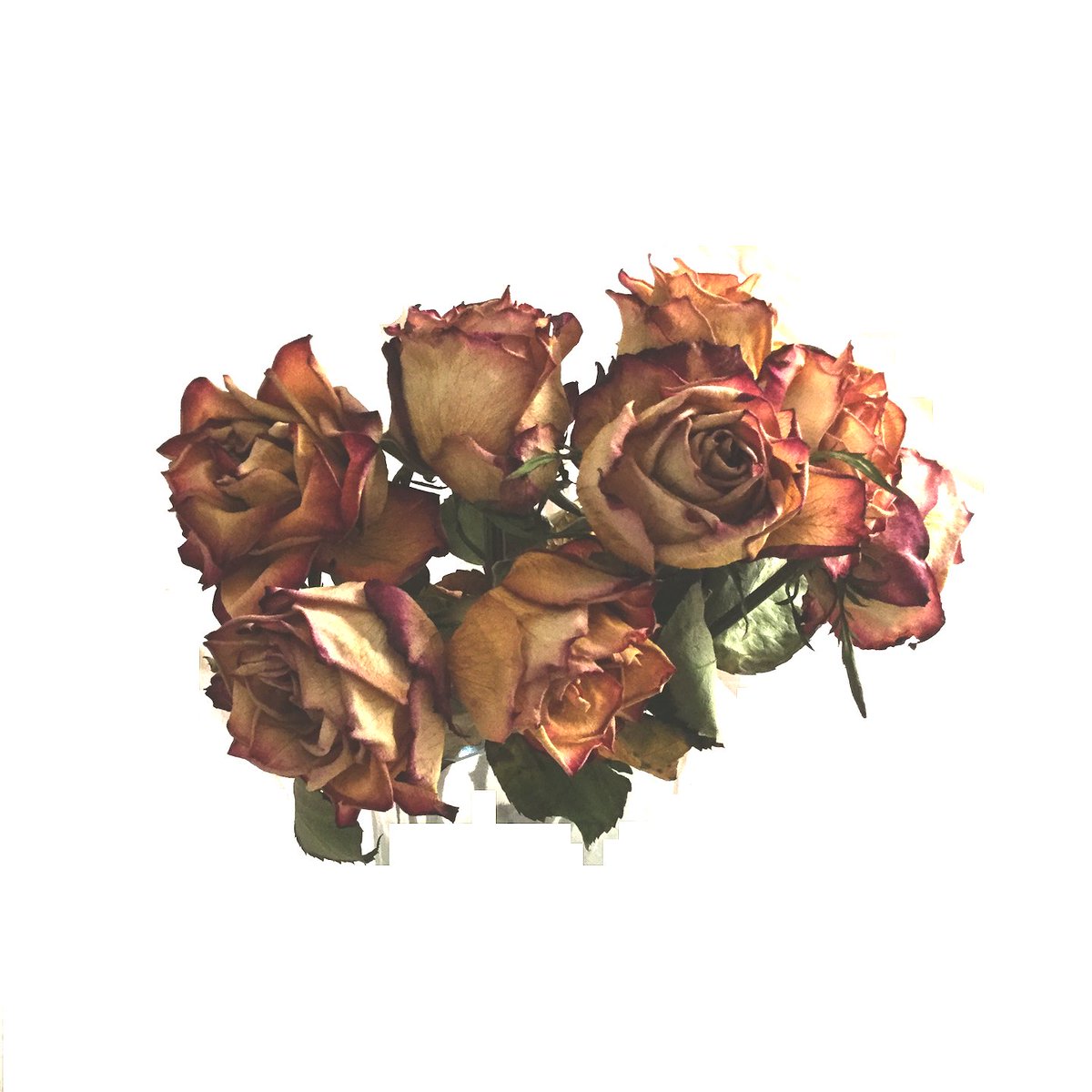 FetchRecords tweet picture