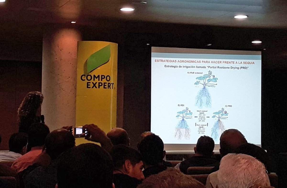 COMPOEXPERT_es's tweet photo. 📋 Técnicas y estrategias varias para mitigar el efecto de estrés hídrico 📋

▶️ Uso de variedades tolerantes
▶️ Estrategia "Partial Rootzone Drying"
▶️ Solutos compatibles y reguladores crecimieto
▶️ Optimización del sistema de riego 

#SomosExpertos https://t.co/MssA4Ov5Ux