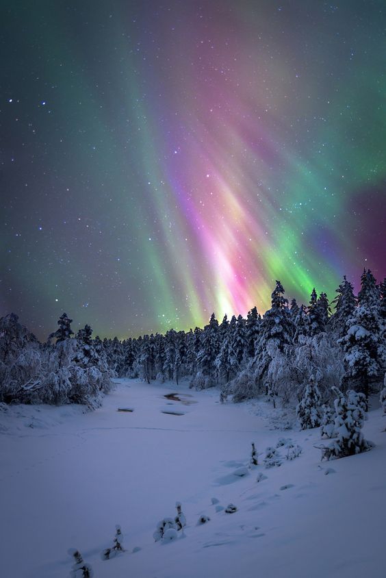 CharlesAger's tweet photo. Escape to unique places. ✨

📷  Pinterest 

#NorthernLights #TravelInspiration https://t.co/X4XflRNo6A
