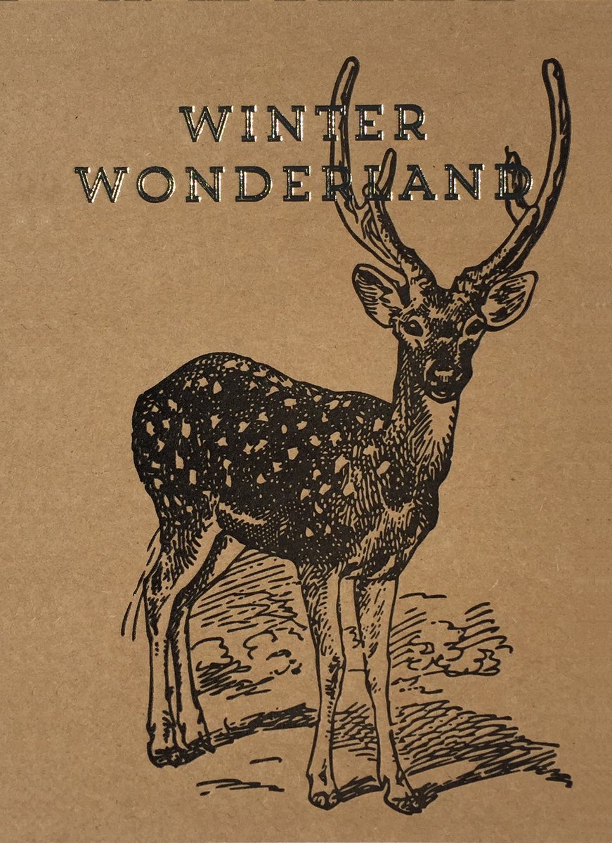 NineteenSeventyThree tweet media