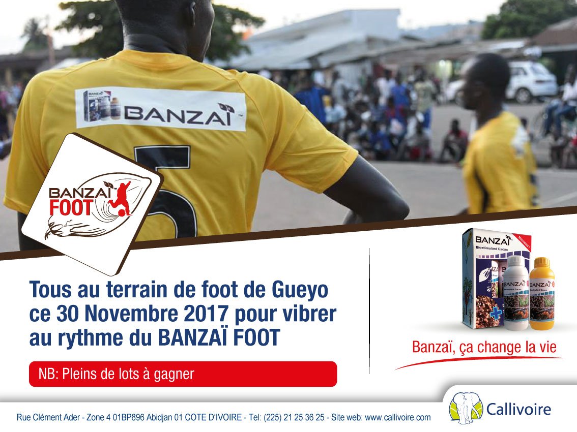 Callivoire tweet media