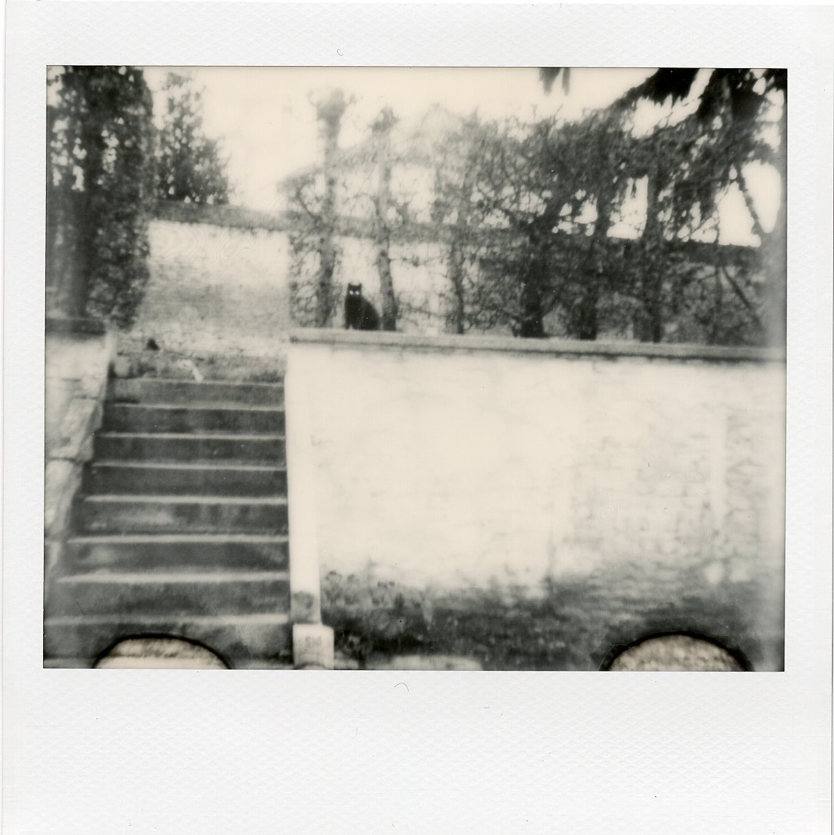 jumpinfred's tweet photo. Polaroid of the day #polaroidoriginals #Polaroids #polaroid https://t.co/bzs3N0HJVd