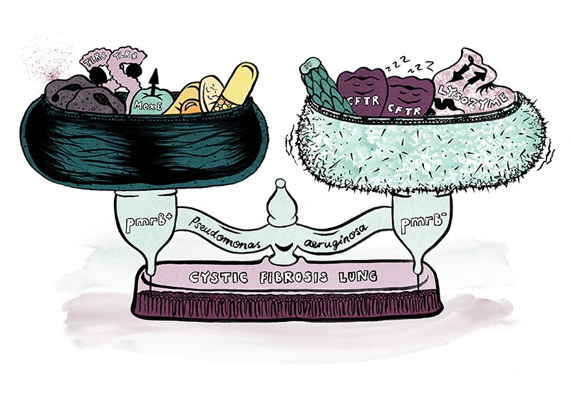eliza_coli's tweet photo. @QUBelfast @LivUni @Cambridge_Uni And on behalf of @JoJofoth, @DanielNeill85 @LivUni discussed the evolutionary trade-offs associated with pmrB in #Paeruginosa in #cysticfibrosis 

(here's one I prepared earlier...)

And all this before the first coffee break!

#cfmicro17 #SciArt #ResearchHighlight #cartoons https://t.co/qJLD3RWfQ7