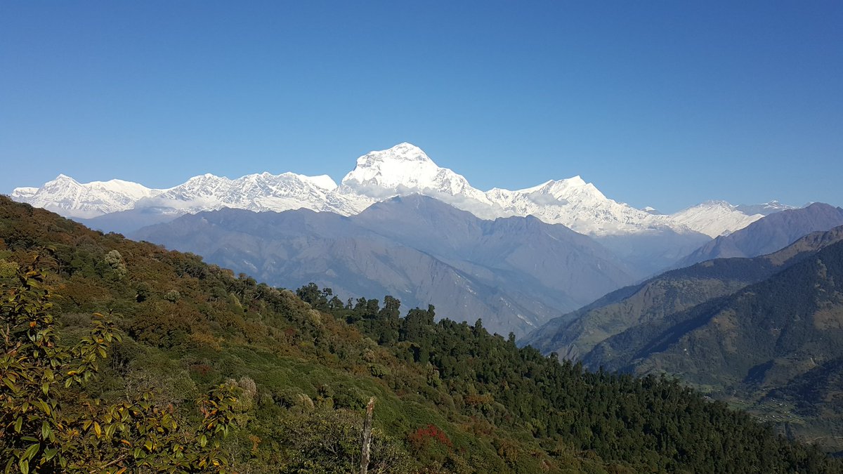 Annapurna_One's tweet photo. Annapurna I - The Insurmountable (8091m)

• The least climbed (150+) peak in the world (K2 - 250+ Everest - 1000s)

• The deadliest peak in the world to summit with a 40% fatality rate (Everest - 7%)

• The greatest climbers in the world have died on this Mt. https://t.co/0icIKjm4Bt