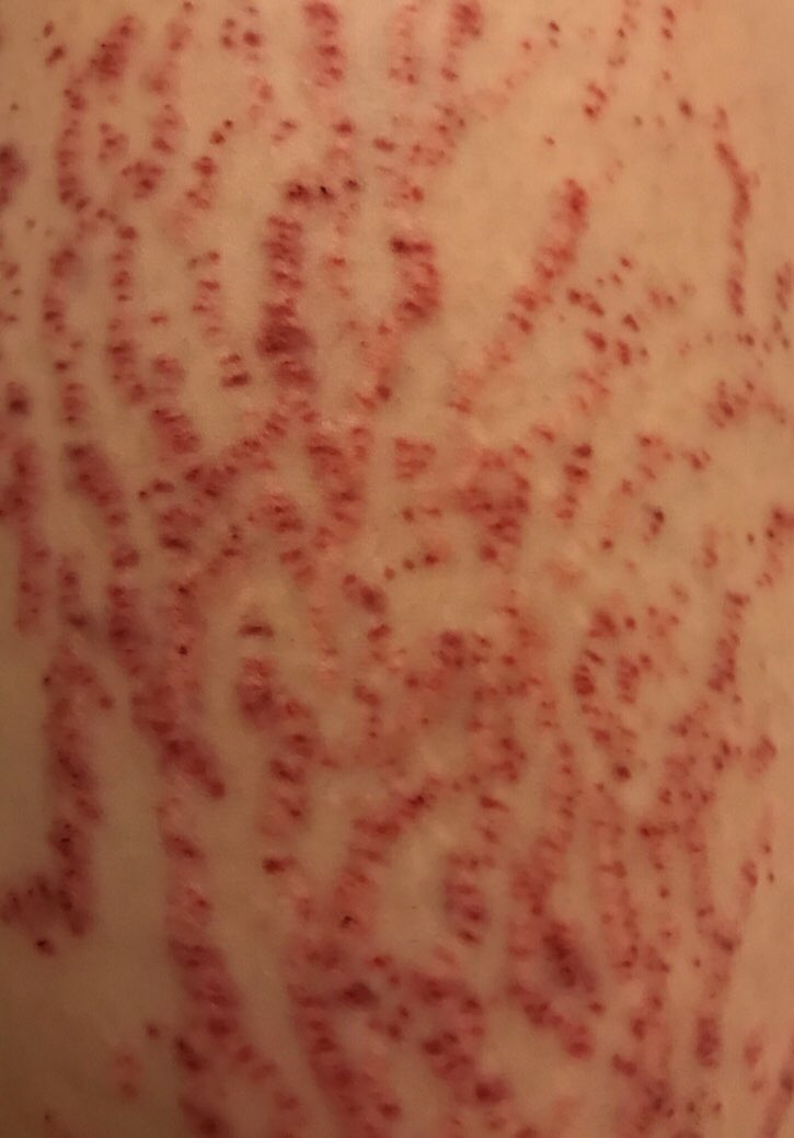 Mi 0660mi0402 Twitter