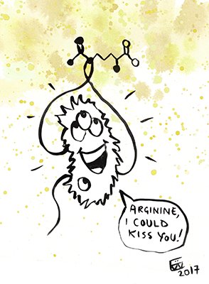 eliza_coli's tweet photo. @QUBelfast @LivUni @Cambridge_Uni @JoJofoth @DanielNeill85 @imperialcollege Daniella Spencer @UniofNottingham then discussed #arginine in the context of #Paeruginosa survival in the #cf lung

#cfmicro17 #cysticfibrosis #ResearchHighlight #SciArt #Conference #cartoons #microbiology https://t.co/Qms2hEG5Fl