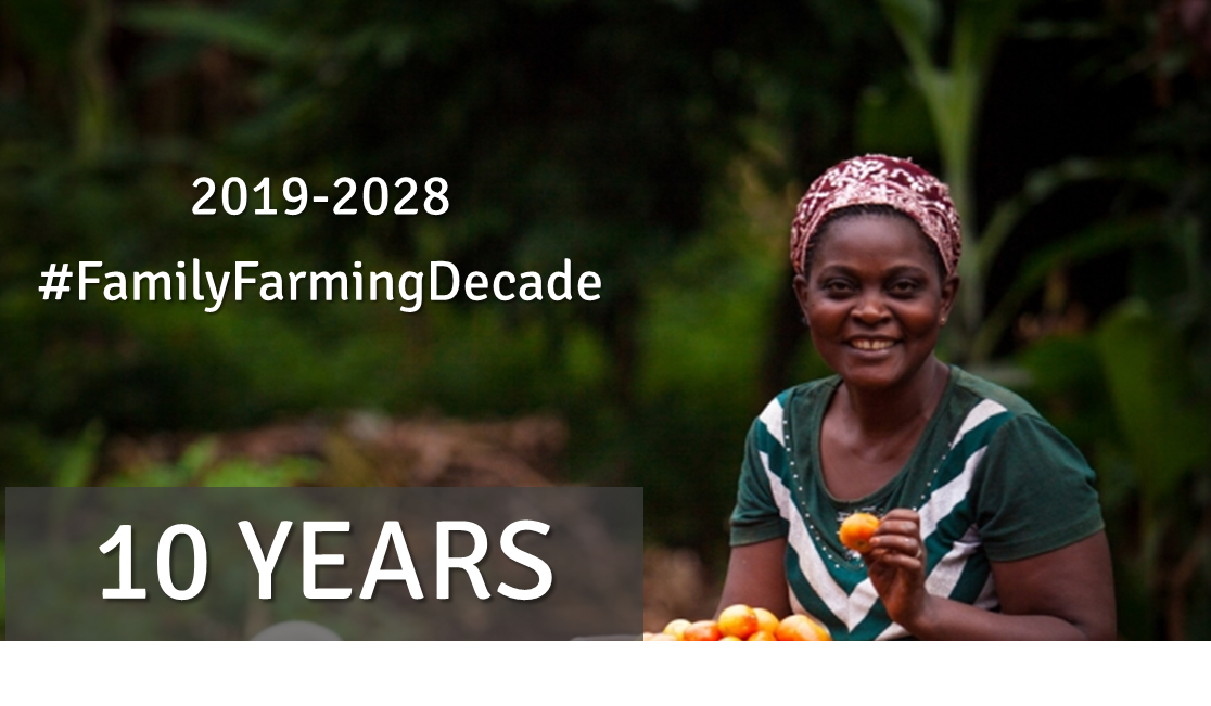 AliseiOng's tweet photo. Happy to announce that the #SecondCommitte of the @UN approved the Proposal for a Resolution of the #FamilyFarmingDecade which the General Assembly will adopt in December!!
#farmers #foodsecurity #Africa
https://t.co/NRblydYUHO https://t.co/vYdYNiqJ1u