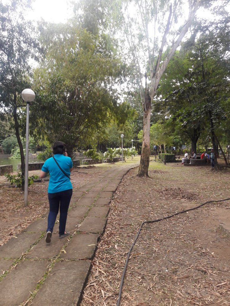 accnamoca's tweet photo. Remember that series from GMA where two girls threw balut to each other? It was shot in this area ๐
Actually, may shooting talaga pagpunta namin ๐
๐ Ninoy Aquino Parks and Wildlife Center
#AYES2017 https://t.co/nAVfLJoqrw