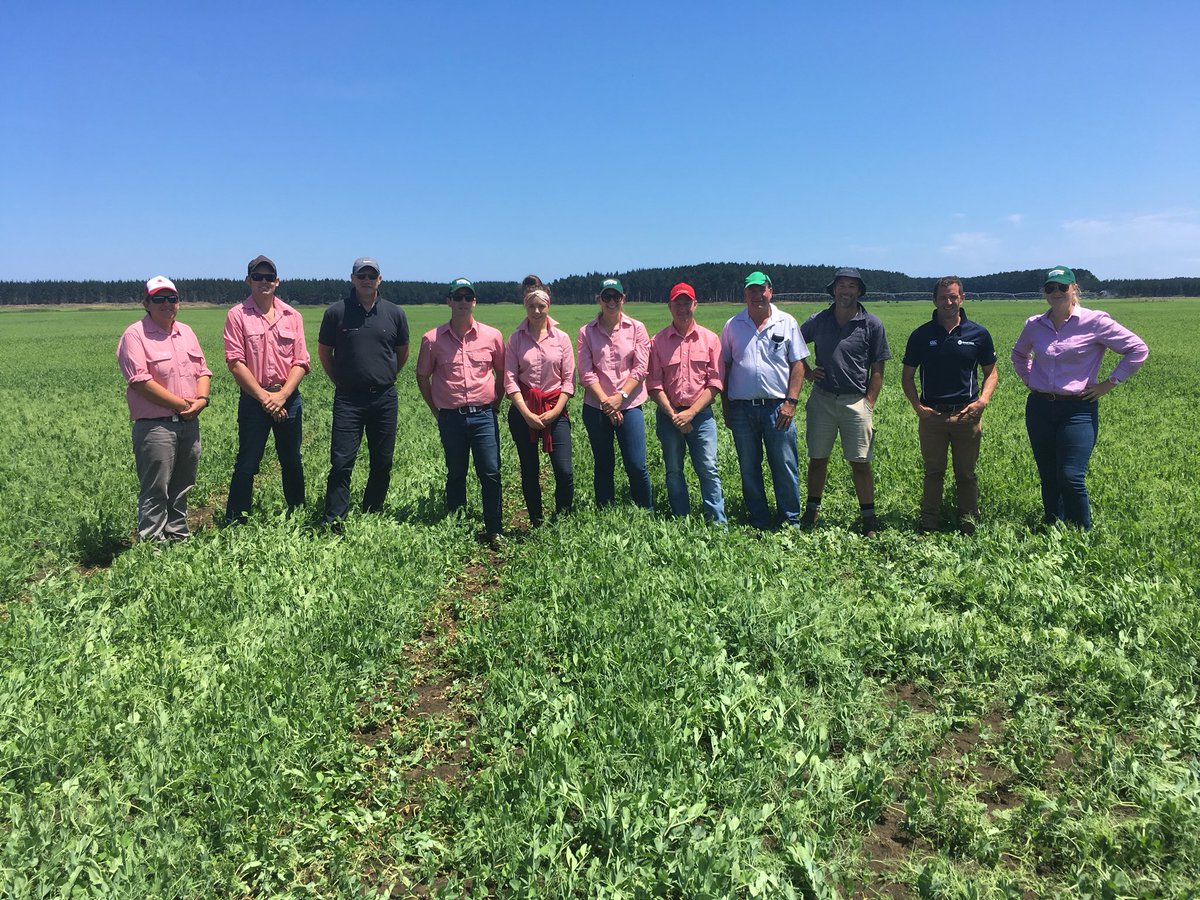jmcclureagro's tweet photo. Last night of a 5 day tour of NZ. Epic to see the intensity, diversity and the culture of NZ farming. @EldersLimited @DowAgroAU https://t.co/paCFu2DmXx
