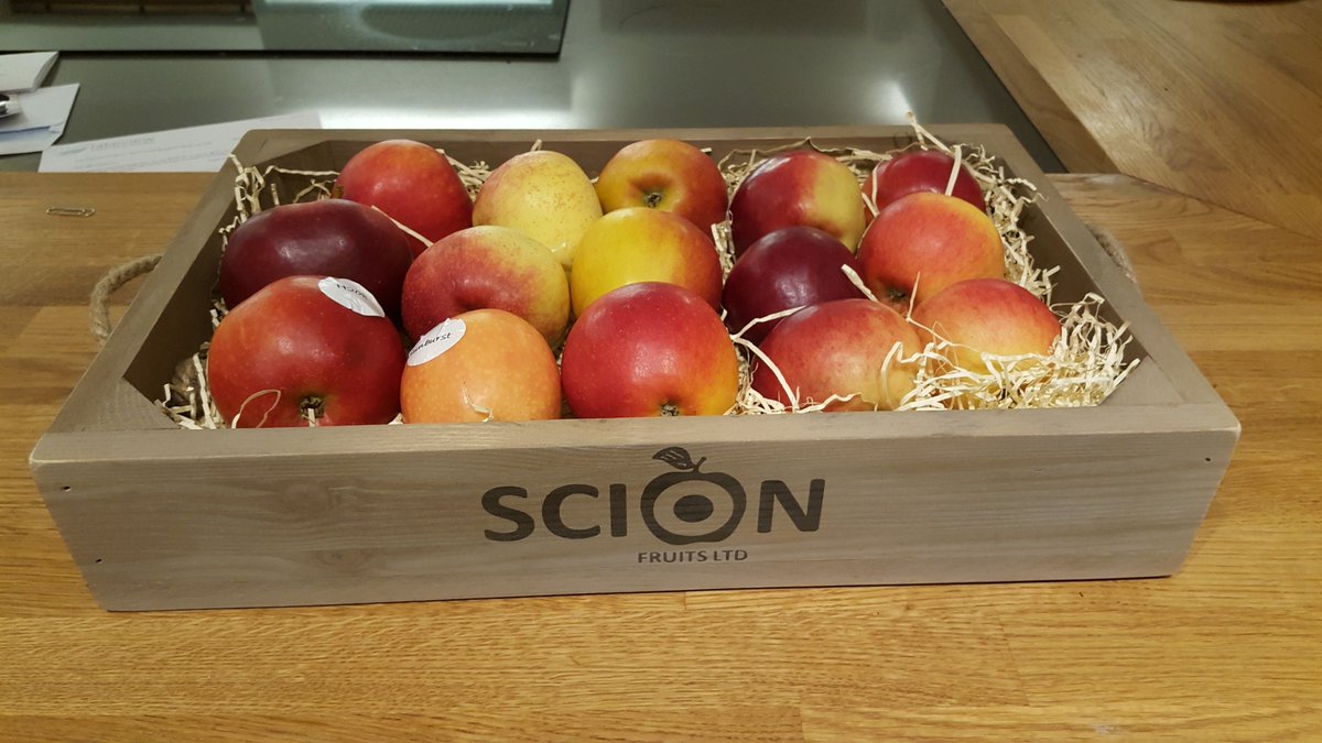 Scion Fruits Ltd tweet media