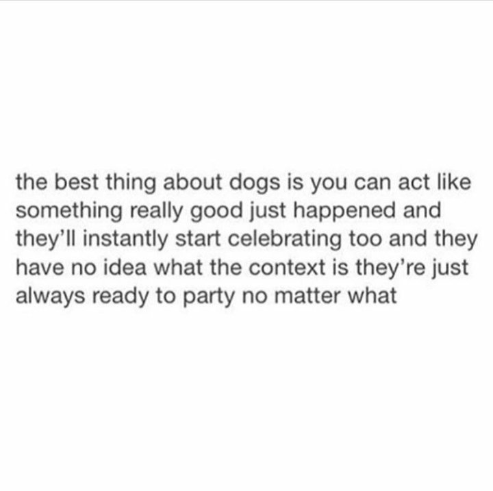 nrenteria09's tweet photo. #alwaysreadytoparty 🐶 https://t.co/5yAzU1TMPq