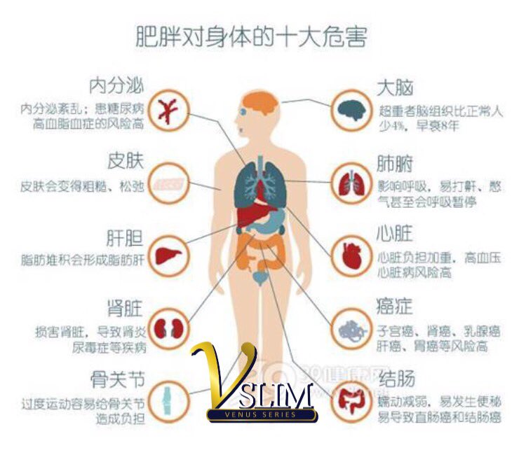 taurus49510's tweet photo. 您知道肥胖对我们身体有多少危害吗?花一点时间看看下面的图吧👇👇👇 https://t.co/XtJL11r5QJ