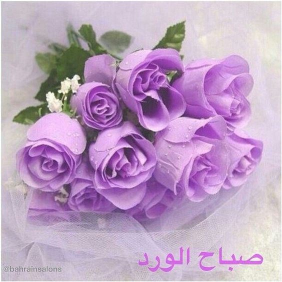 6moomy's tweet photo. https://t.co/sJ801xHOus