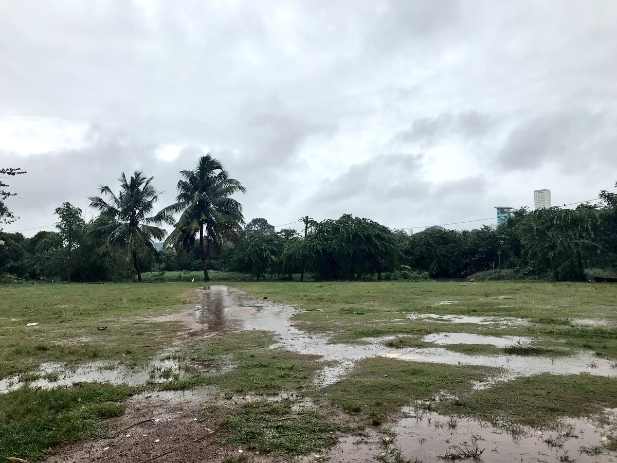 KCC Cricket tweet media