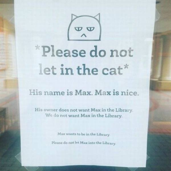 DickKingSmith's tweet photo. Max is just trying to better himself.
#LetMaxIn https://t.co/ZrdXYvcV2U