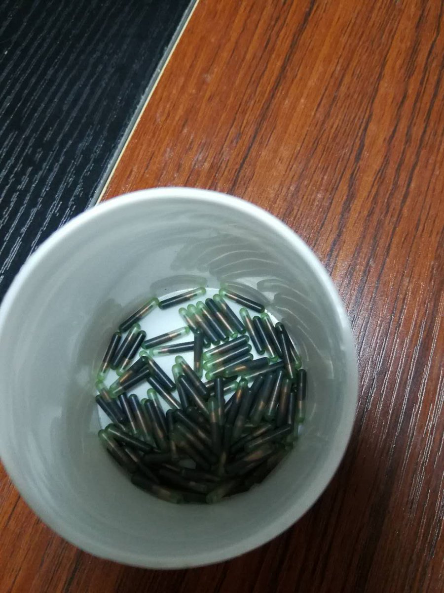 NancyRFID's tweet image. RFID Animal pet microchip (2.12mm*12mm) identification